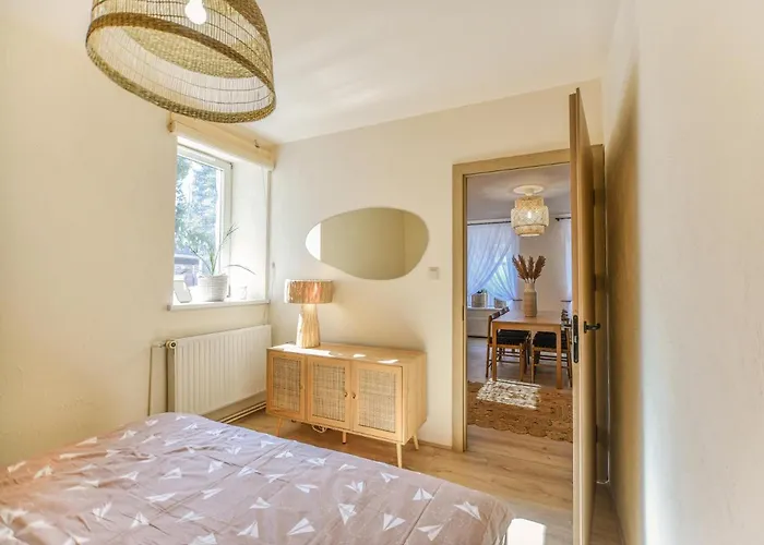 No 1 * شتشافنو-زدروي